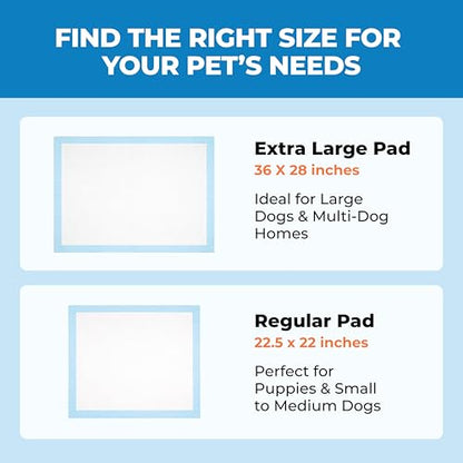 Best Pet Supplies XL (36 x 28 Inches) Puppy Pads 100 Count - Super Absorbent Dog Training Pads, Quick-Dry, Odor Control, Disposable Pee Pads, Leak-Proof Wee Wee Pads for Indoor Dogs – Baby Blue
