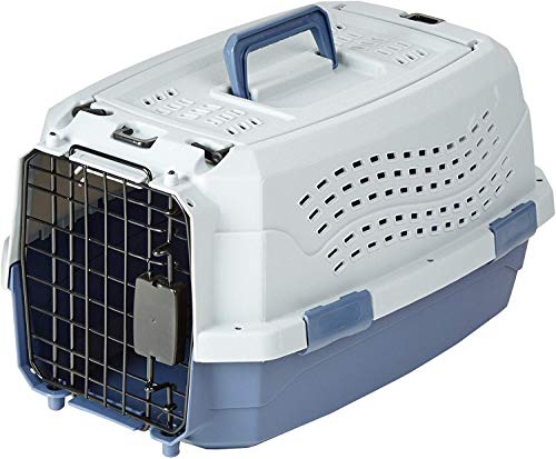 Amazon Basics 2-Door Top-Load Hard-Sided Pet Travel Carrier for Cats and Small Dogs, 19" L x 12.6" W x 10" H, Gray & Blue
