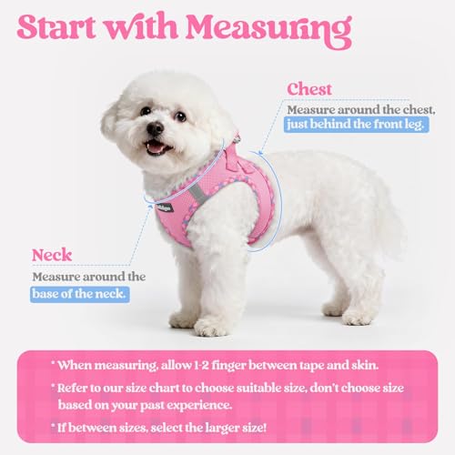 rabbitgoo Dog Harness Small Sized and Leash Set, Step in Soft Light Puppy Vest, Breathable Mesh Pet Harness, Reflective for Safe Easy Walking, Pink & Plaid Trim S