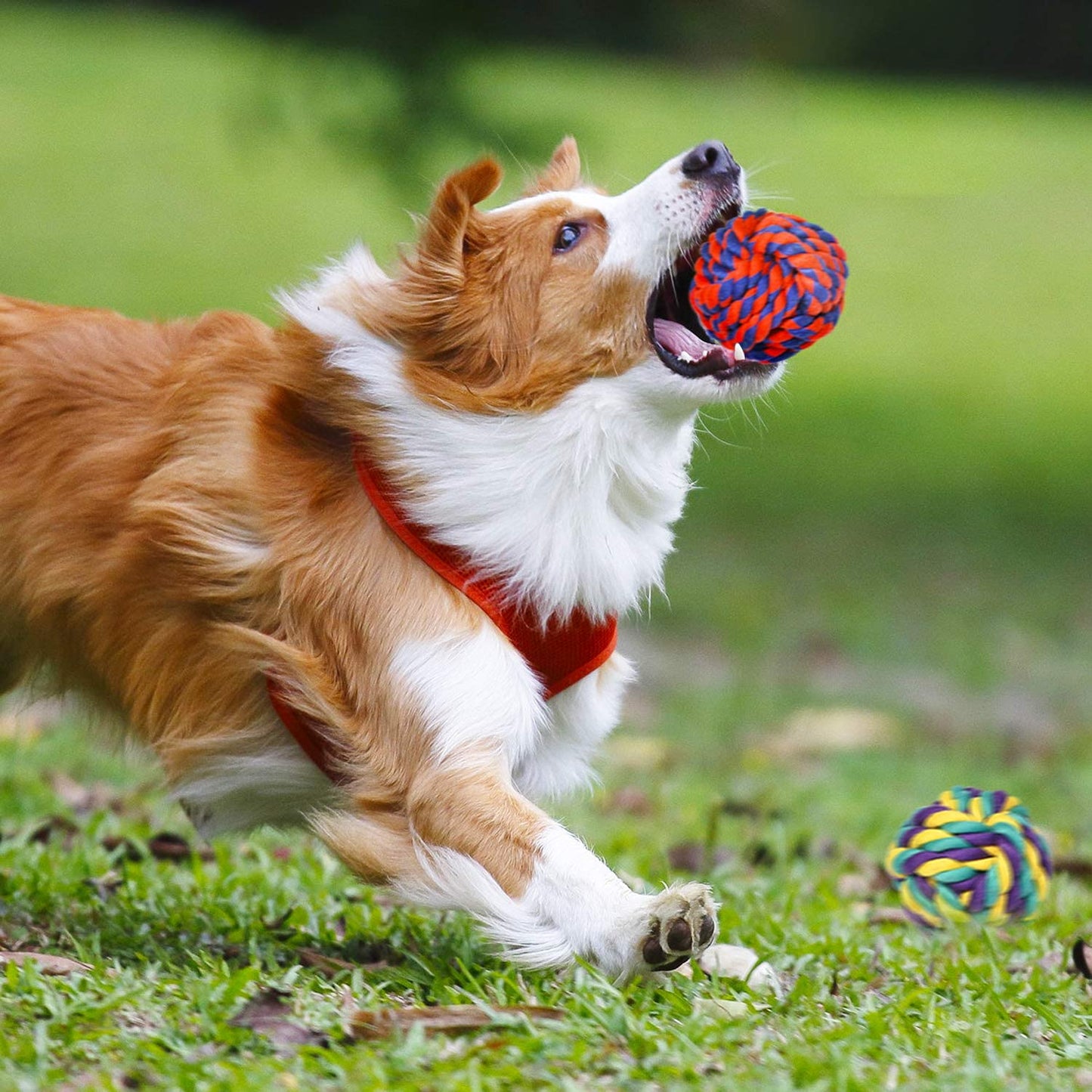 XL Dog Chew Toys for Aggressive Chewers Large Breed, 14 Pack Tough Indestructible Dog Toys for Aggressive Chewers, Durable Puppy Chew Toys for Teething, Heavy Duty Cotton Dog Rope Toys for Large Dogs