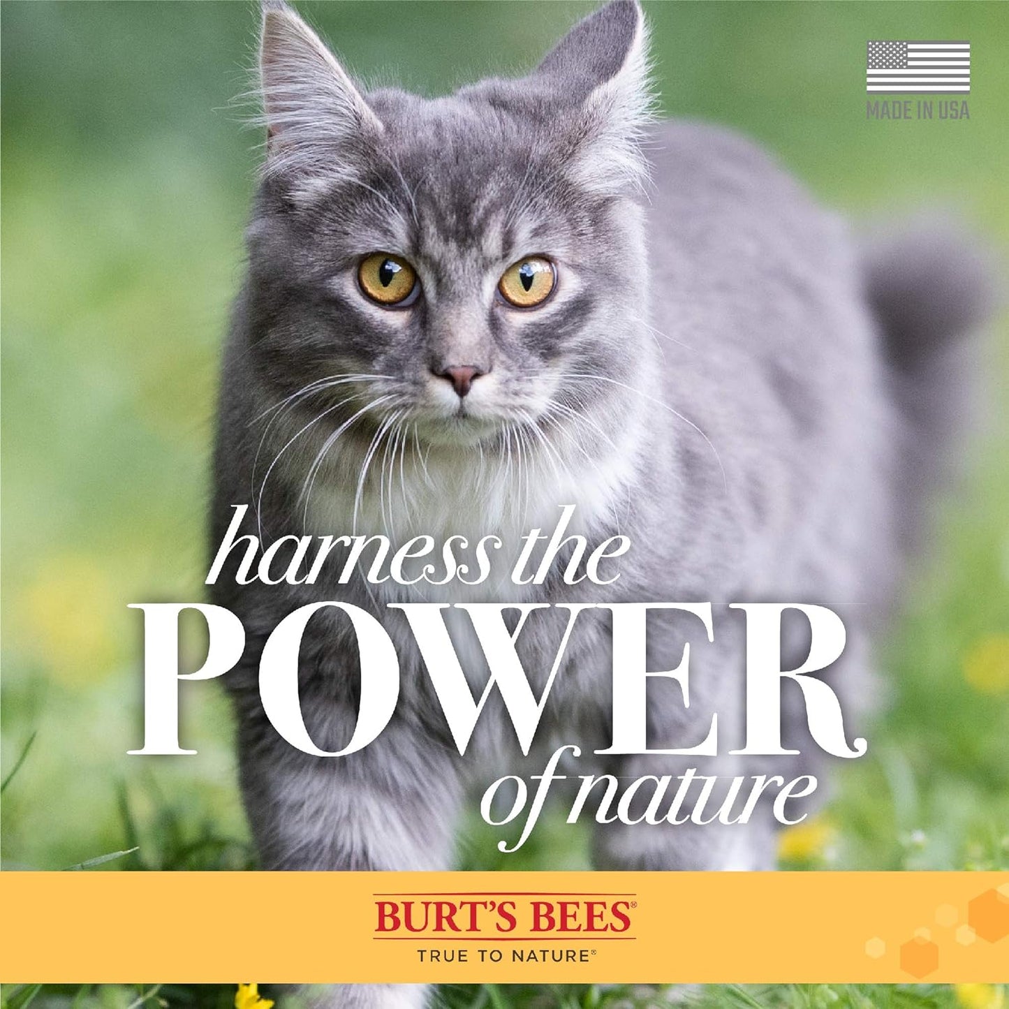 Burt'S Bees for Pets Cat Hypoallergenic Cat Shampoo with Shea Butter & Honey - Best Shampoo for Cats with Dry or Sensitive Skin - Cruelty Free, 10 Fl Oz