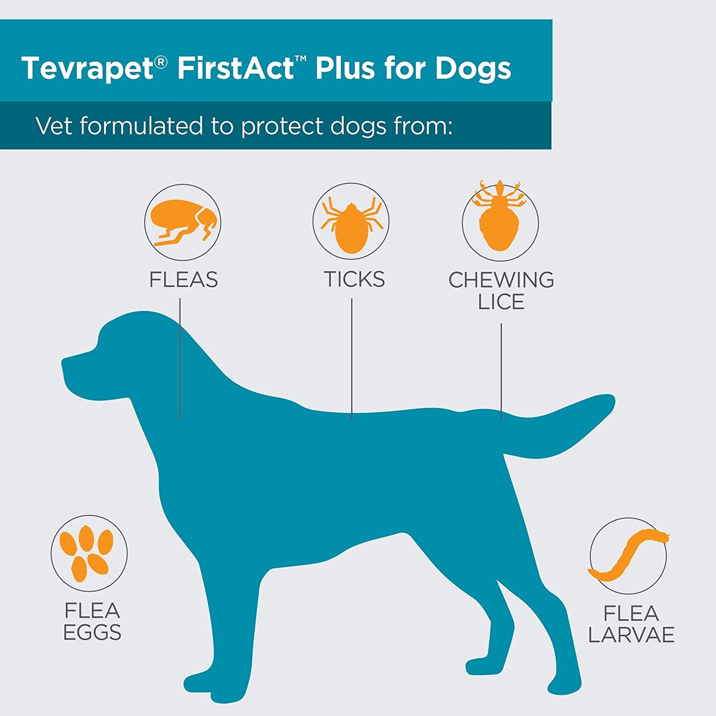 Firstact plus Flea Treatment for Dogs, Small Dogs 5-22 Lbs, 3 Doses, Same Active Ingredients as Frontline plus Flea and Tick Prevention for Dogs