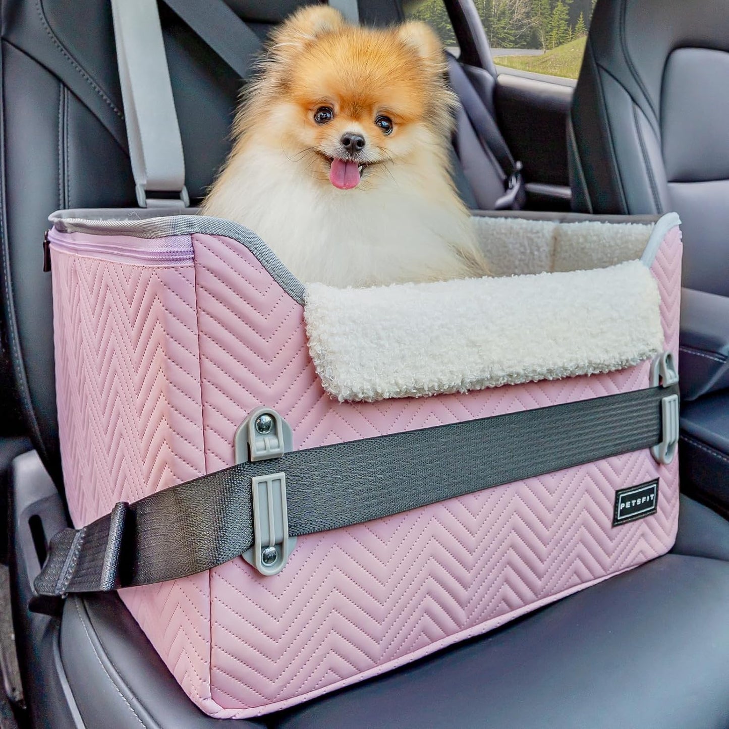 PETSFIT Dog Car Seats for Small Dogs, Portable Puppy Car Saet for Car with Clip-On Leash, Adjustable Straps Perfect for Small Pets up to 25Lbs (Light Pink)