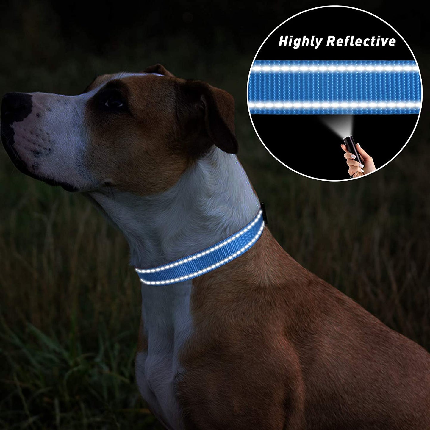 Tagme Reflective Nylon Dog Collars, Adjustable Classic Dog Collar with Quick Release Buckle for Extra Small Dogs, Royal Blue, 5/8" Width