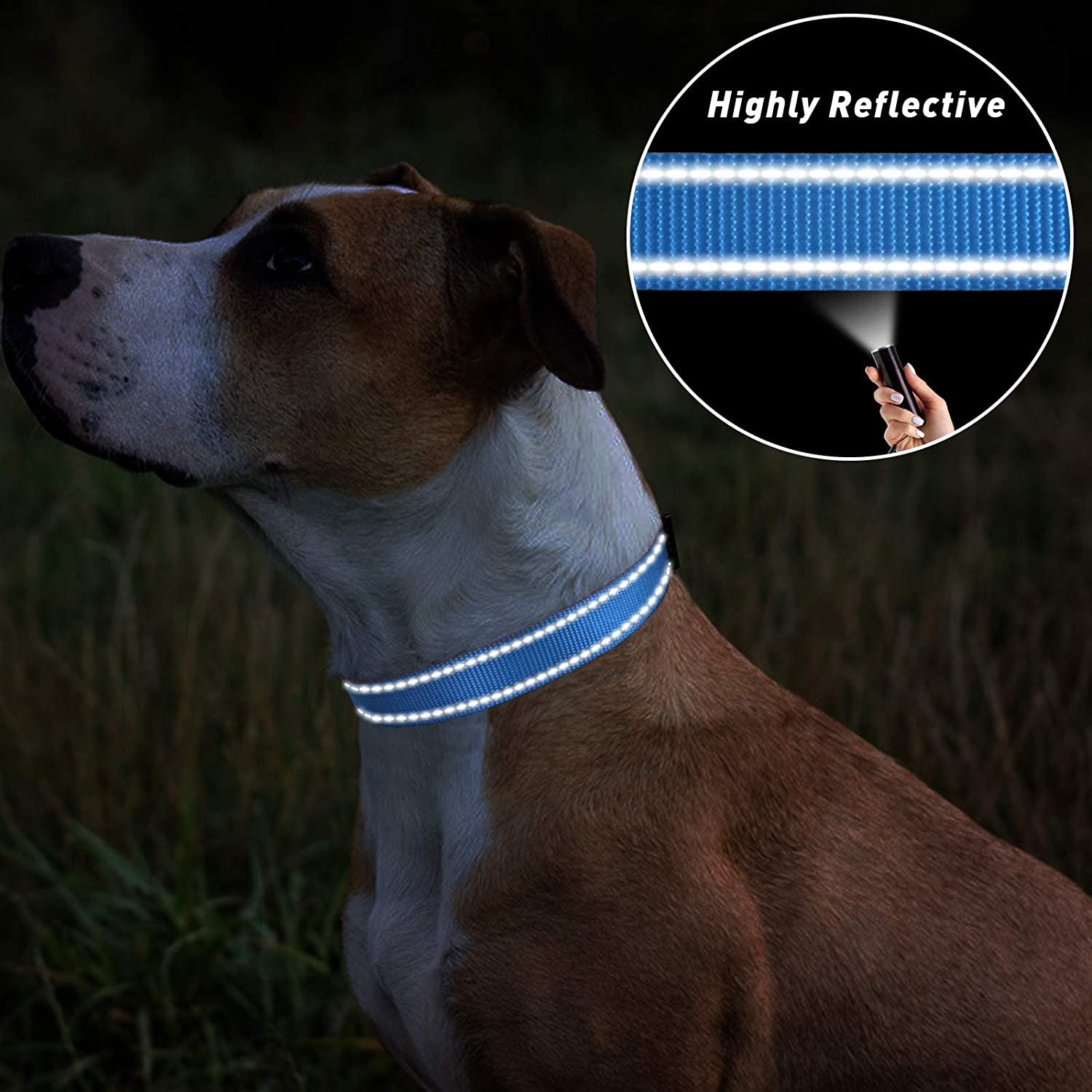 Tagme Reflective Nylon Dog Collars, Adjustable Classic Dog Collar with Quick Release Buckle for Medium Dogs, Turquoise, 1.0" Width