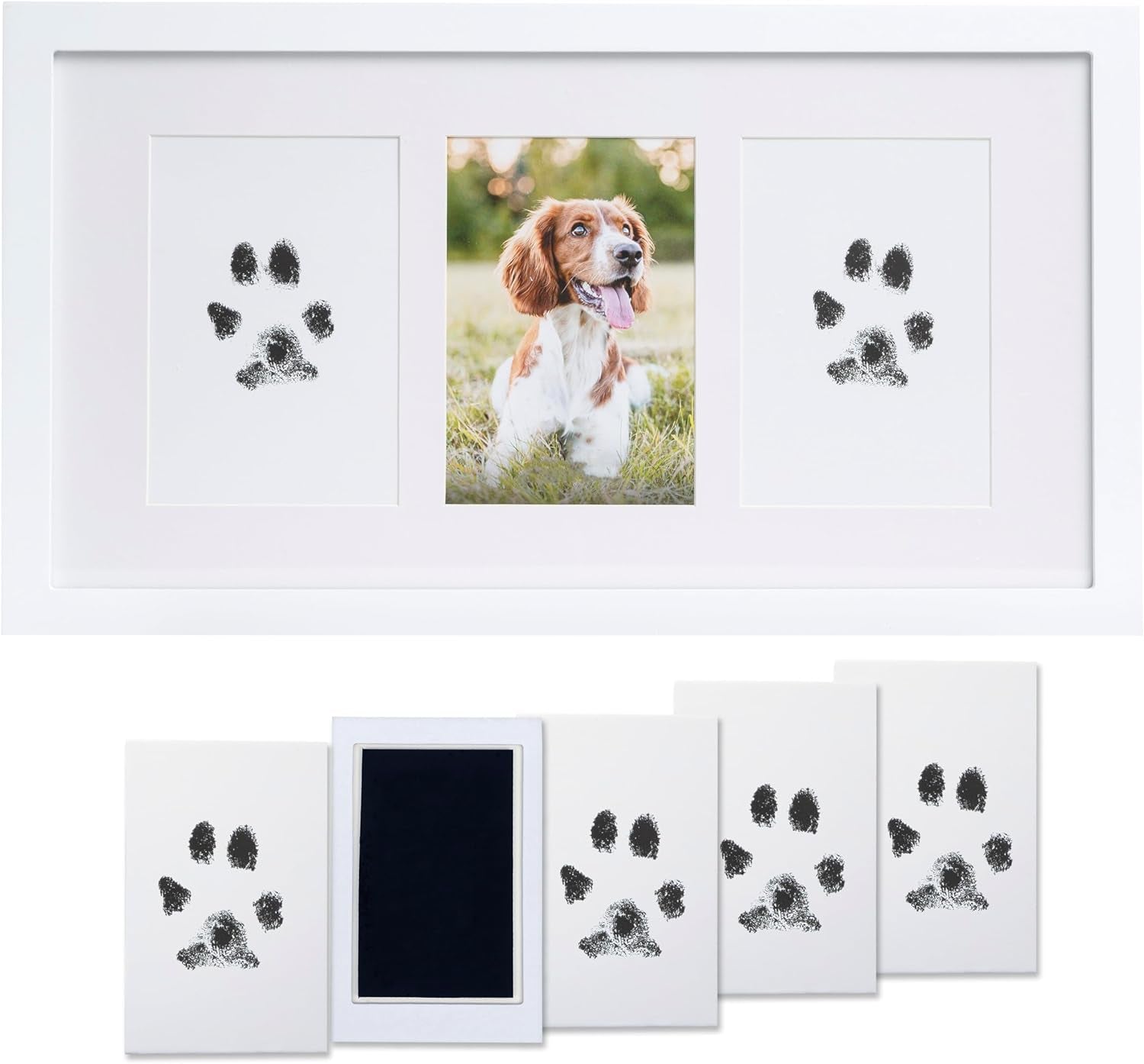 Pearhead Pet Paw Print Photo Frame with Clay Imprint Kit, Pawprint Making Kit, Cat or Dog Memorial Keepsake Gift