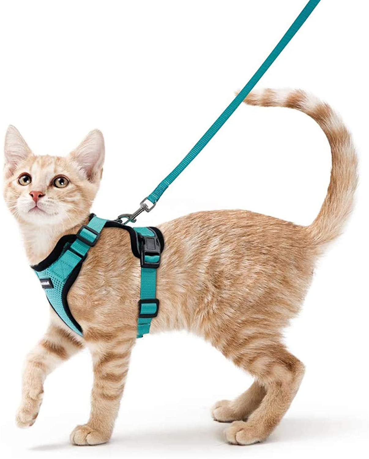 Rabbitgoo Cat Harness and Leash for Walking, Escape Proof Soft Adjustable Vest Harnesses for Cats, Easy Control Breathable Reflective Strips Jacket, Orange, M
