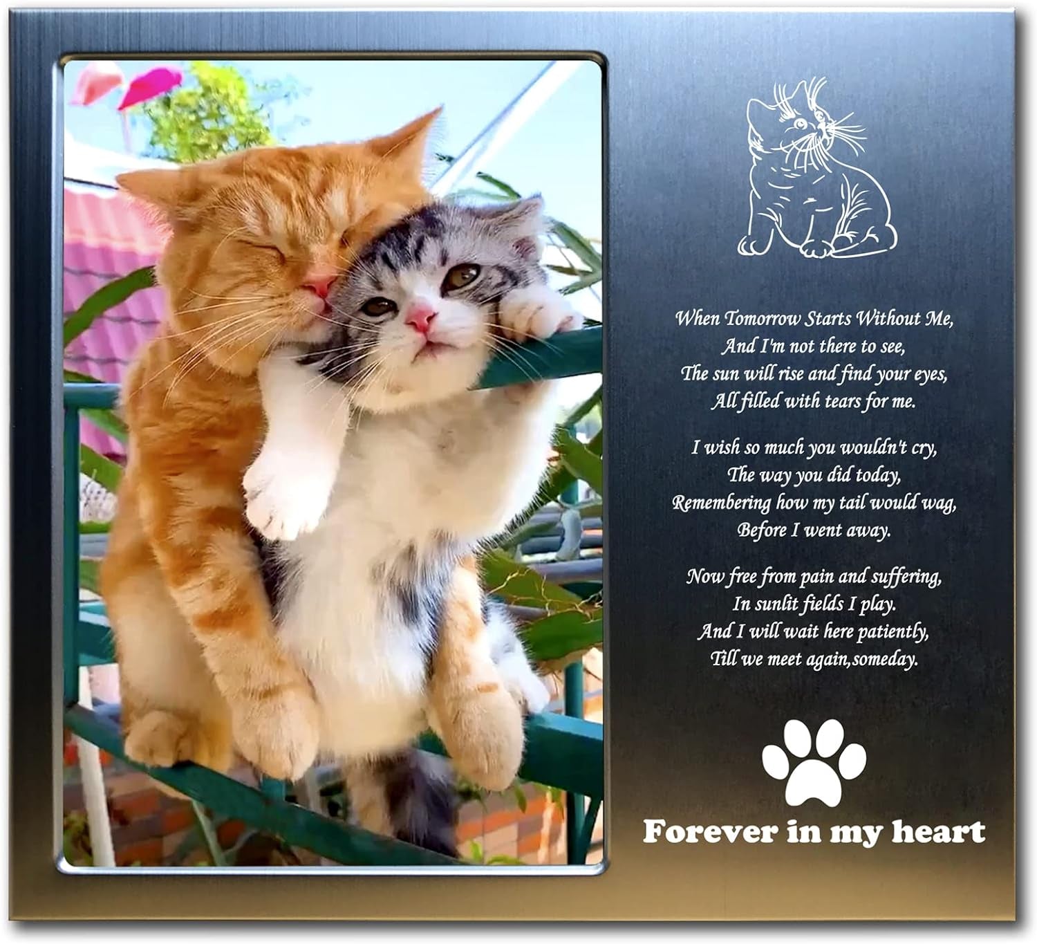 Pet Loss Gifts - Pet Memorial Gift (Opts) Personalized Metal - Sympathy Gift Memorial Picture Frame 4X6 for Loss of Dogs or Cats. (02B)