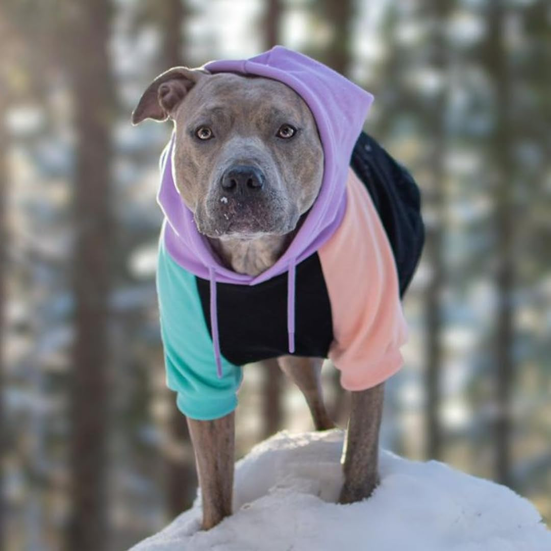 Spark Paws Dog Hoodie - Premium Quality, Buttery Soft, Superior Comfort and Fit, Calming Fleece Interior, Suitable for All Breeds - 90S Retro Sky Dye - XL