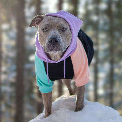 Spark Paws Dog Hoodie - Premium Quality, Buttery Soft, Superior Comfort and Fit, Calming Fleece Interior, Suitable for All Breeds - Cotton Candy - 4XL