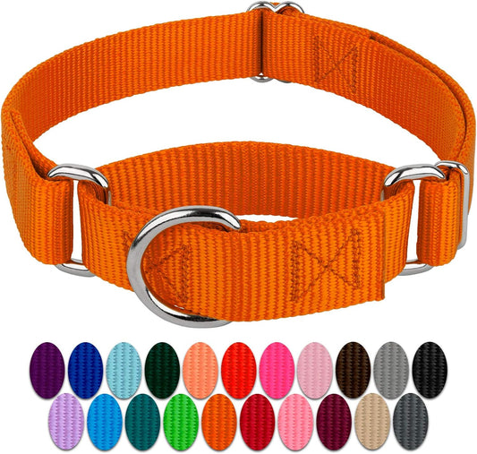 Country Brook Petz - Orange Martingale Heavy Duty Nylon Dog Collar - 21 Vibrant Color Options (3/8 Inch Width, Micro)