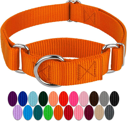 Country Brook Petz - Orange Martingale Heavyduty Nylon Dog Collar - 21 Vibrant Color Options (1 Inch Width, Medium)