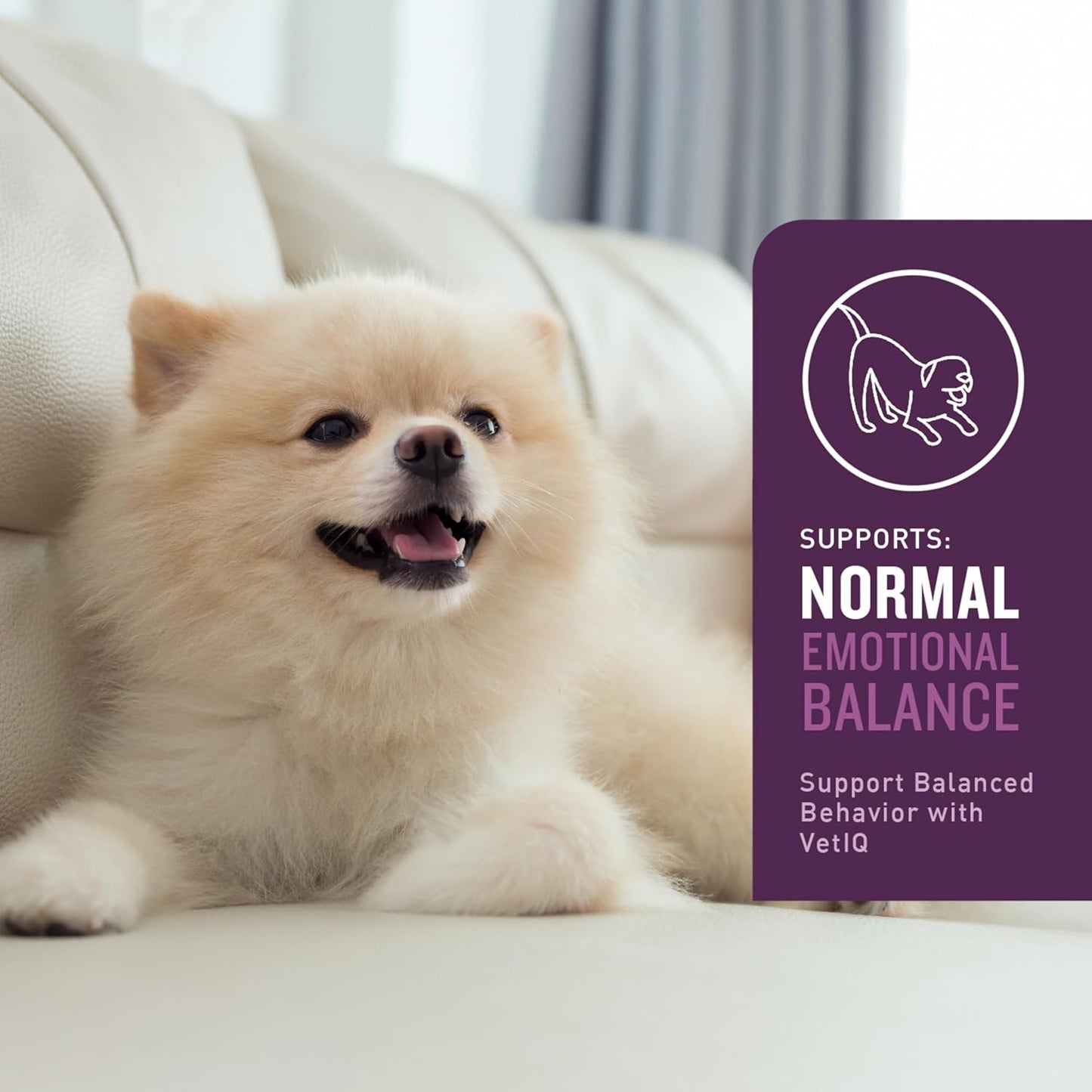 Vetiq Calming Support Supplement for Dogs, Calming Chews Help Manage Stress and Promote Relaxation, Anxiety Relief for Dogs, Made in the USA, 120 Count