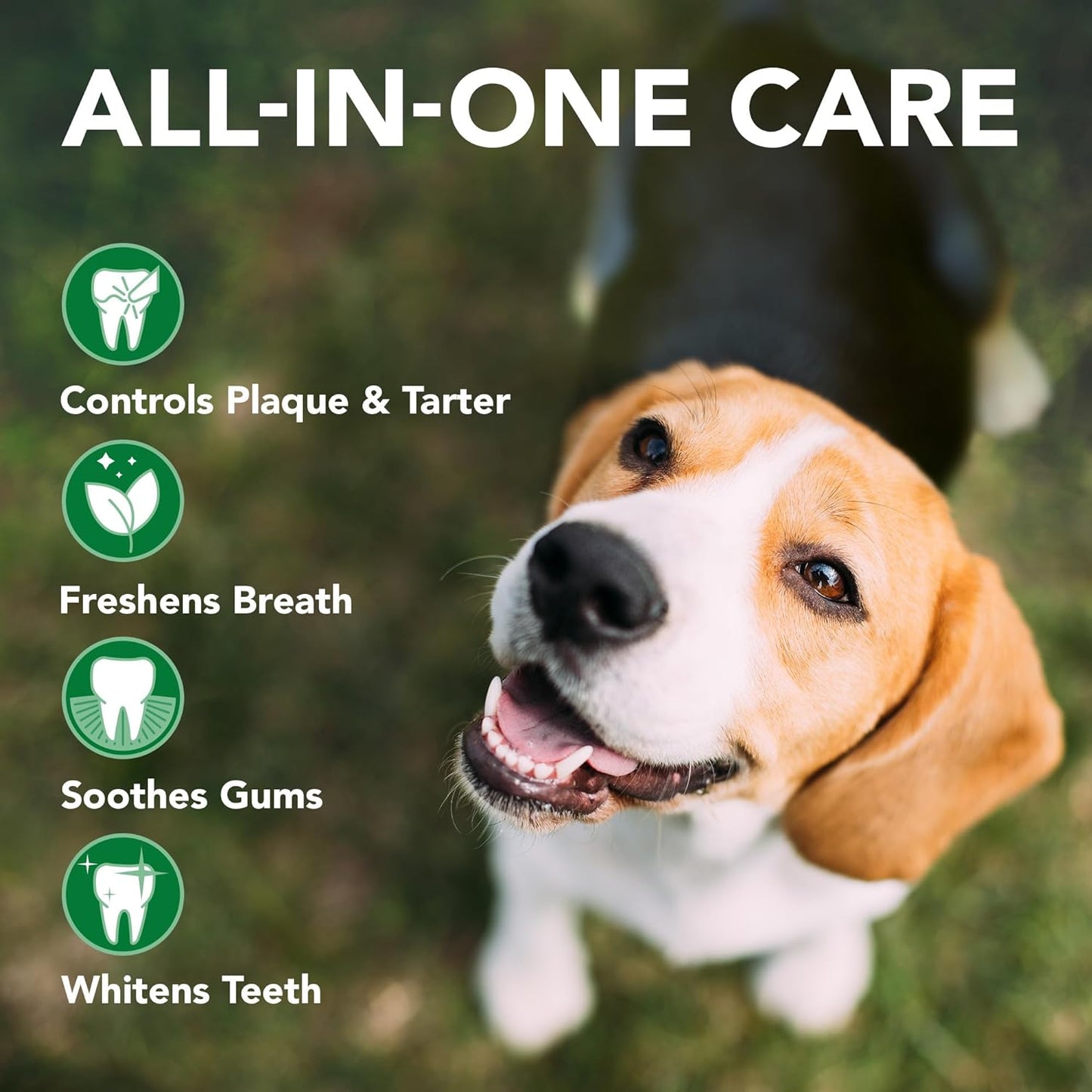 Vet's Best Dog Toothbrush & Enzymatic Toothpaste Kit - Teeth Cleaning - Made with Natural Ingredients - Reduces Plaque, Whitens Teeth, Freshens Breath - Bonus Care Guide & Finger Brush Included