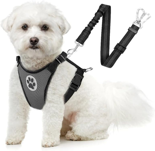 Slowton Dog Seat Belt Harness for Car, Dog Car Harness Adjustable Mesh Breathable & Dog Seatbelt Safety Tether with Elastic Bungee for Small Medium Large Pets(Grey, Double Clip, XXXS)