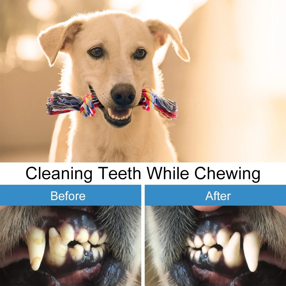 Plutus Pet Dog Chew Toys for Aggressive Chewers, 8 pack Interactive Washable Tough Teething Dog Rope Toys, for Puppies Small Medium Dogs