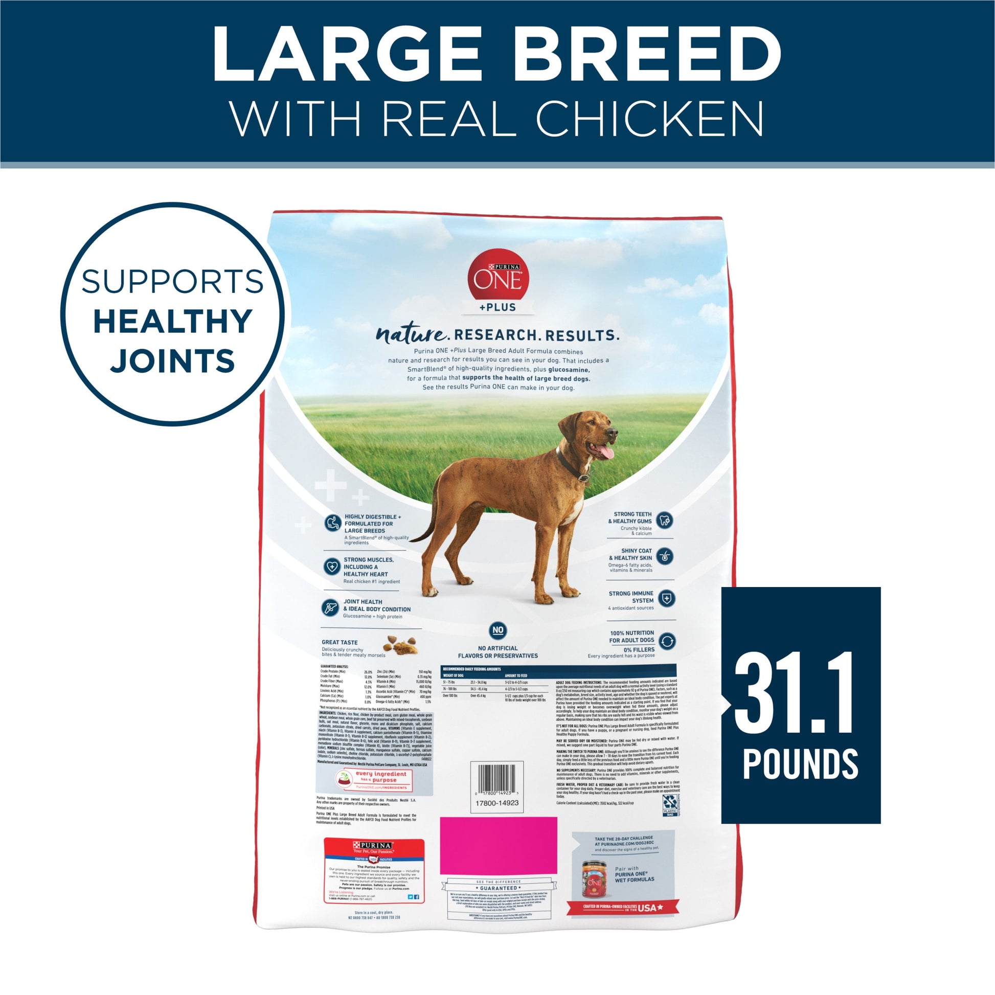 Purina One +Plus Dry Dog Food for Large Adult Dogs High Protein, Real Chicken, 31.1 Lb Bag