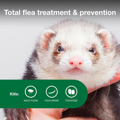 Advantage II Ferret Vet-Recommended Flea Treatment & Prevention | Ferret 1+ Lbs. | 2-Month Supply