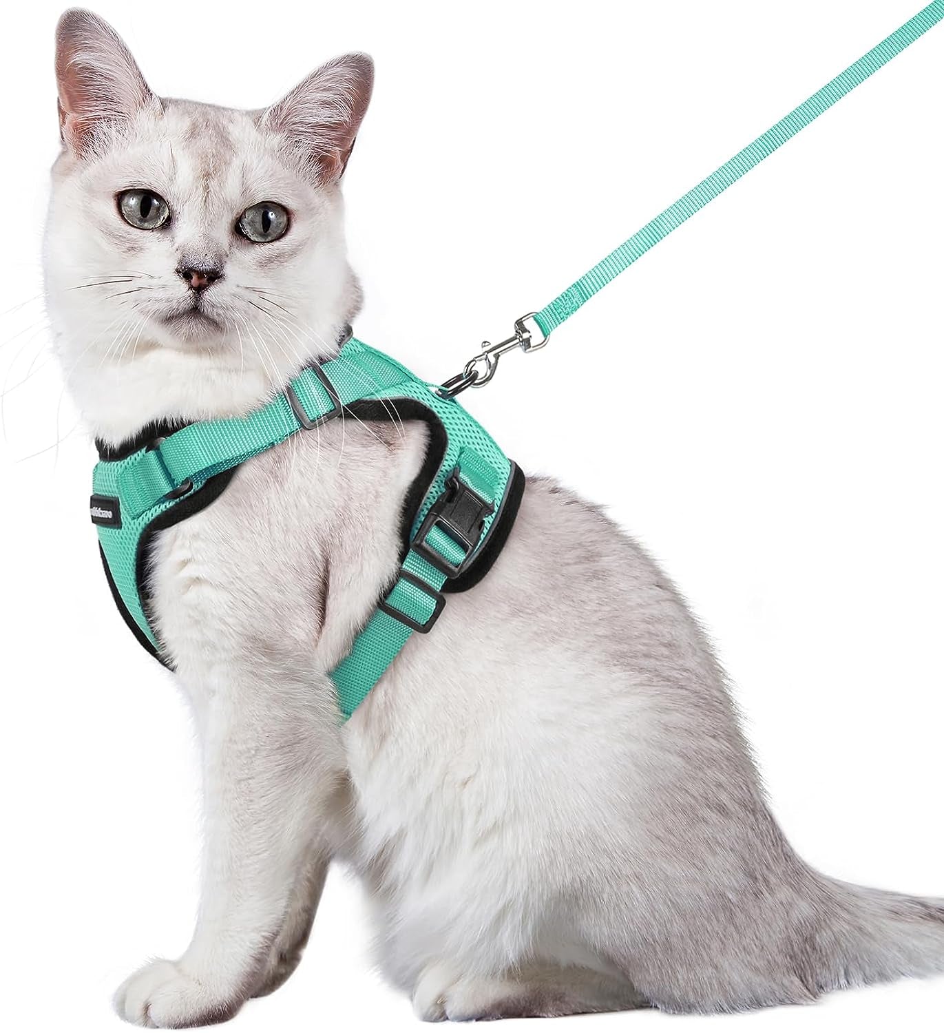 Rabbitgoo Cat Harness and Leash for Walking, Escape Proof Soft Adjustable Vest Harnesses for Cats, Easy Control Breathable Reflective Strips Jacket, Emerald, M