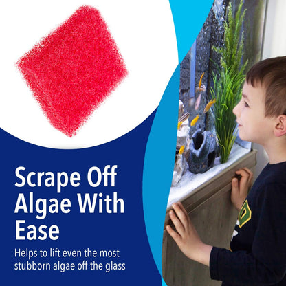 Evergreen Pet Supplies [4 Pack Aquarium Cleaner for Glass Walls - Aquarium Scrubber - H& Held Scraper Pad - Fish Tank Cleaning Tools Won't Scratch Glass - Aquarium Sponge for Turtle & Fish Tank