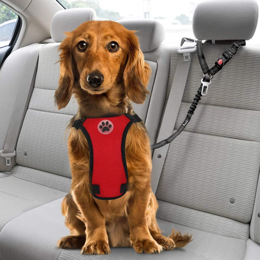 Slowton Dog Seat Belt for Car, 2 Pack Dog Car Harness Seatbelt Adjustable with Elastic Bungee Buffer, 2 in 1 Pet Car Leash Headrest Restraint Dog Reflective Safety Tether (Orange, Headrest+Clip)