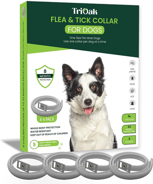 Flea Collar for Dogs: Advanced Dog Flea Collar - Tick Collar for Dogs - Flea and Tick Collar for Dogs - Dog Flea and Tick Collar - Dog Tick Collar, Color: Gray