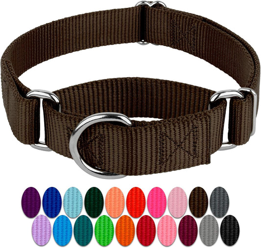 Country Brook Petz - Brown Martingale Heavy Duty Nylon Dog Collar - 21 Vibrant Color Options (1 Inch Wide. Extra Large)