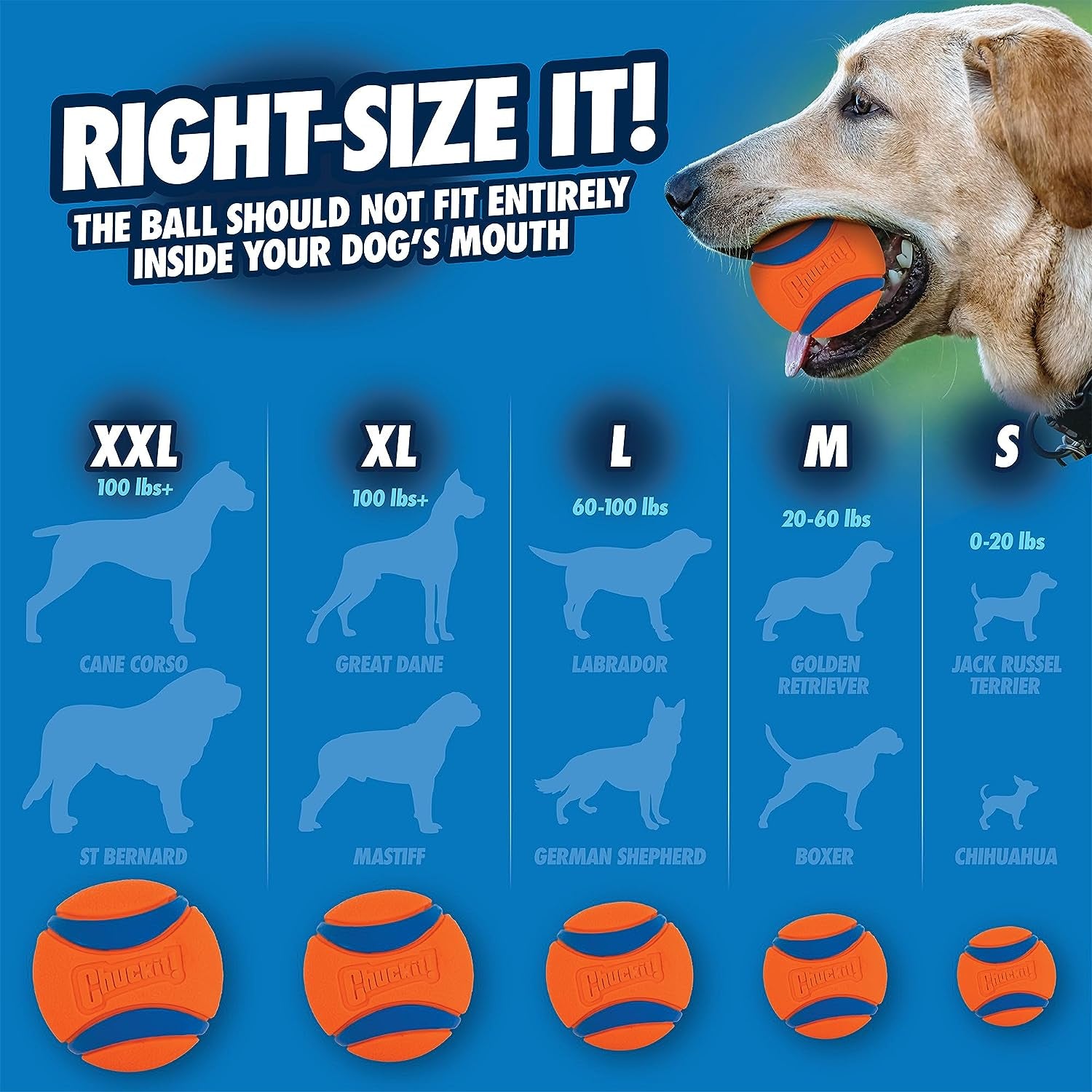 Chuckit Ultra Ball Dog Toy, Medium (2.5 Inch Diameter) Pack of 4, for Breeds 20-60 Lbs