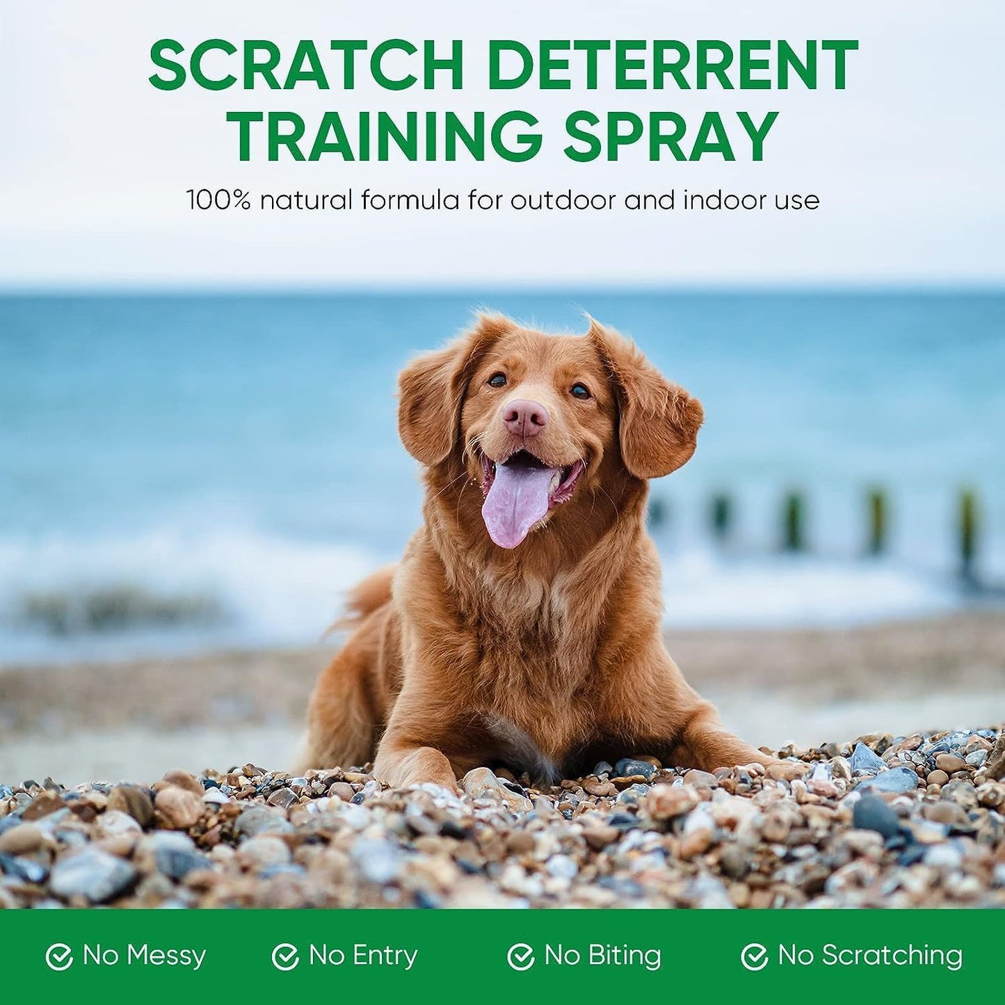 Bitter Spray for Dogs to Stop Chewing, No Chew Spray for Puppies & Dogs, Effective Dogs Behavior Training Aids, Protect Your Furniture and Prevents Dogs from Biting