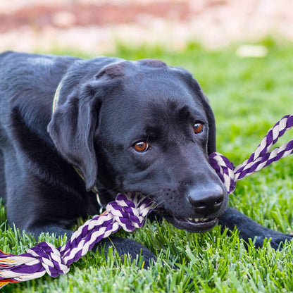 XL Dog Chew Toys for Aggressive Chewers Large Breed, 14 Pack Tough Indestructible Dog Toys for Aggressive Chewers, Durable Puppy Chew Toys for Teething, Heavy Duty Cotton Dog Rope Toys for Large Dogs