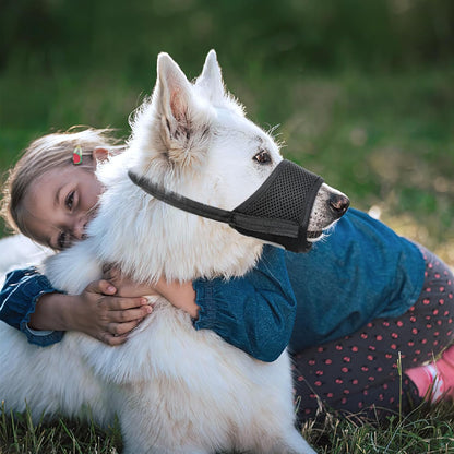 HEELE Dog Muzzle Nylon Soft Muzzle Anti-Biting Barking Secure,Mesh Breathable Pets Muzzle for Small Medium Large Dogs 4 Colors 4 Sizes (L, Blue)