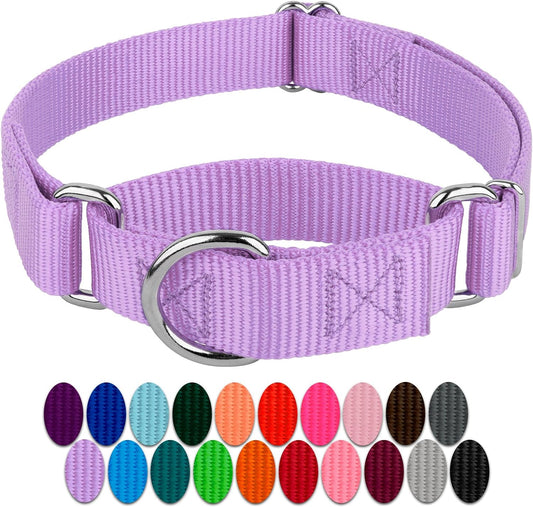 Country Brook Design - Lavender Martingale Heavy Duty Nylon Dog Collar - 21 Vibrant Color Options (3/4 Inch Width, Small)