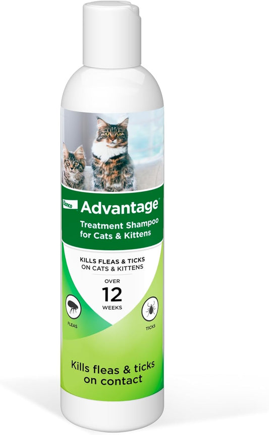 Advantage Cat Flea & Tick Shampoo for Kittens & Adult Cats | Kills Fleas & Ticks | 8 Oz.