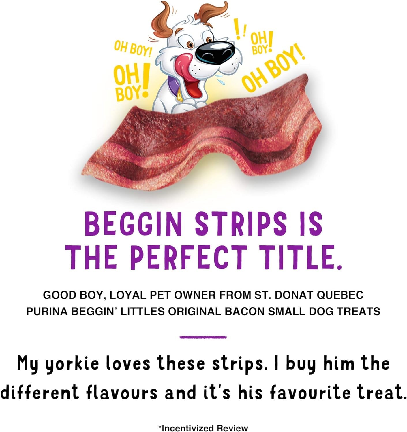 Purina Beggin' Strips with Real Meat Dog Treats, with Bacon and Peanut Butter Flavor - (Pack of 2) 26 Oz. Pouches