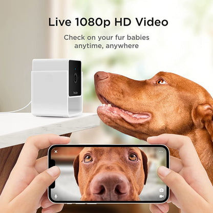 Petcube Cam 360 the Pack of 2 Camera | Ultimate Interactive Wifi Pet and Home Security Pan-Tilt Camera with Phone App, 1080P HD Video, 360° Rotation, Night Vision, Smart Alerts for Home Surveillance