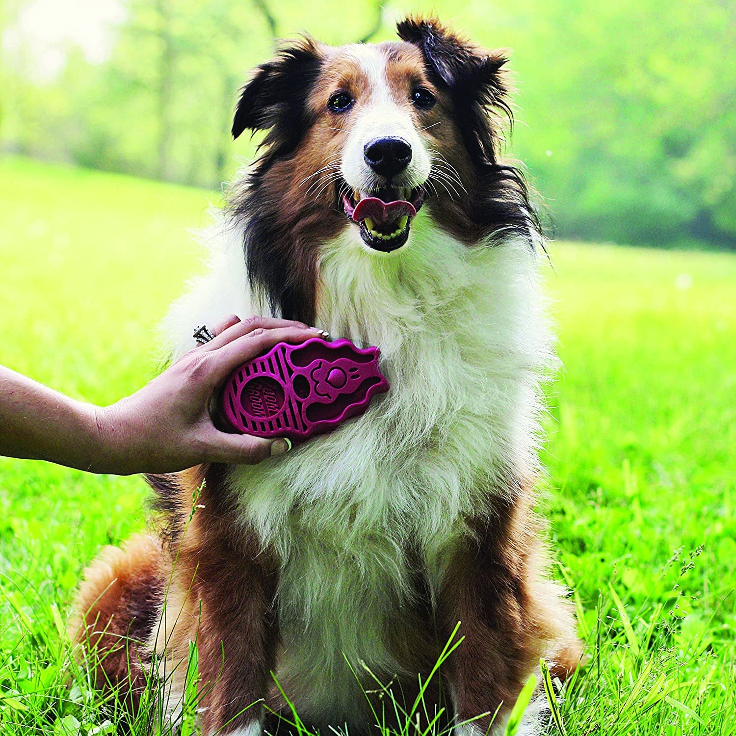 KONG - ZoomGroom - Dog Brush for Grooming and Shampooing - Blue Brush for Large Dogs