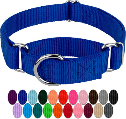 Country Brook Petz - Royal Blue Martingale Heavy Duty Nylon Dog Collar - 21 Vibrant Color Options (3/8 Inch Width, Extra Small)