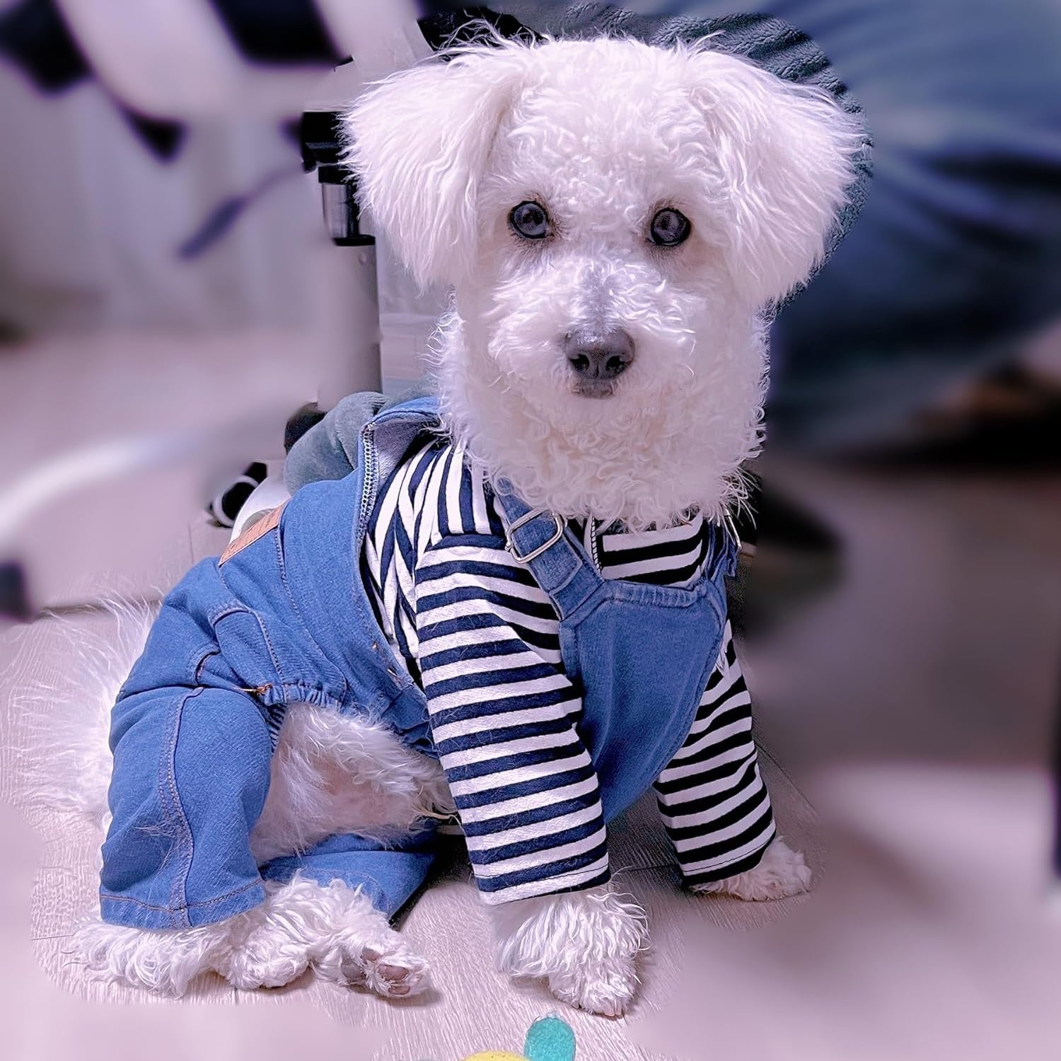 1 Piece of Dog Denim Shirts Puppy Jean Jacket Sling Jumpsuit Costumes Pet Jean Overalls Dog Pants Outfits for Small Puppy Cat Pets (Blue, Small)