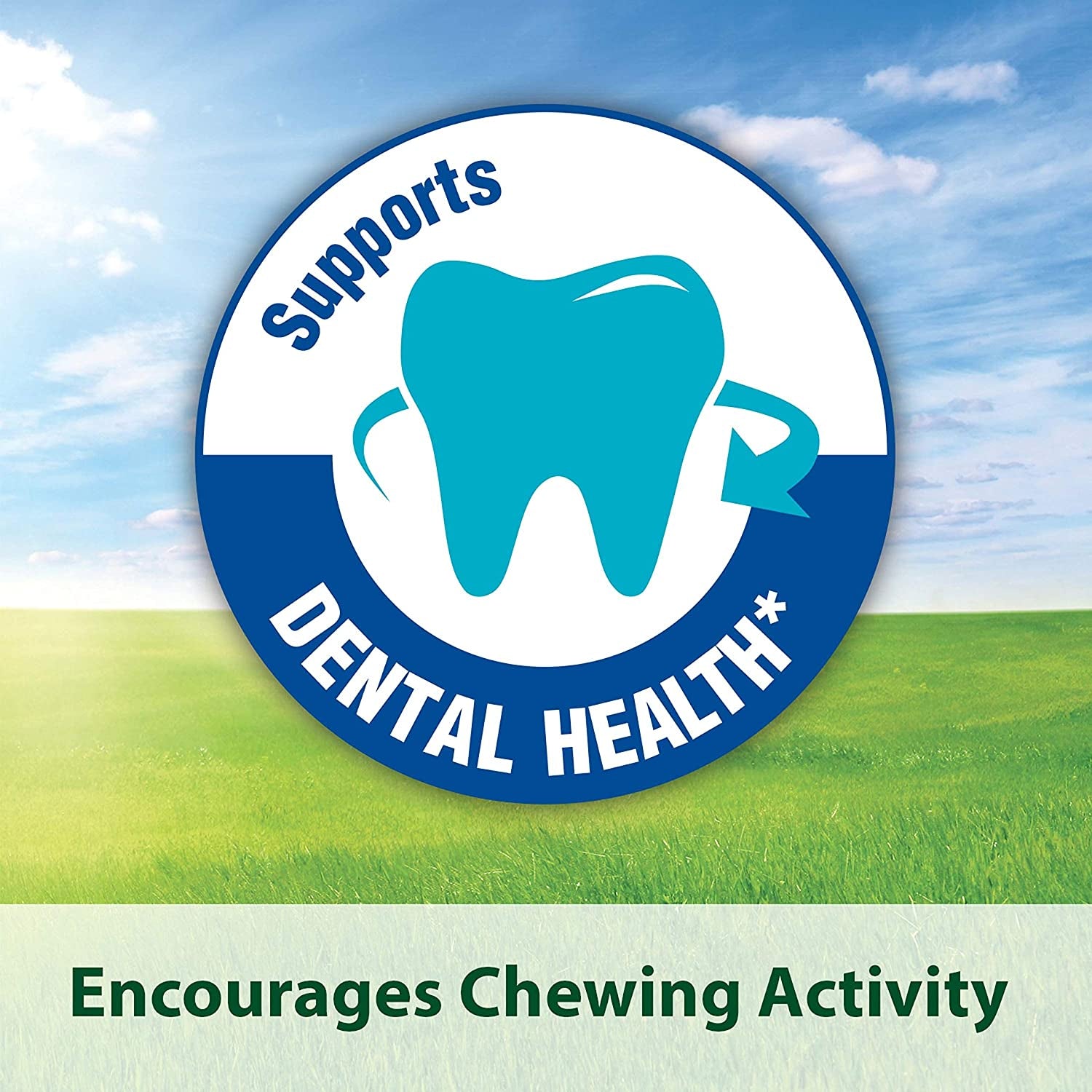 Kaytee Timothy Hay Blend Cubes for Pet Rabbits, Guinea Pigs, Chinchillas, and Other Small Animals, 1 Pound