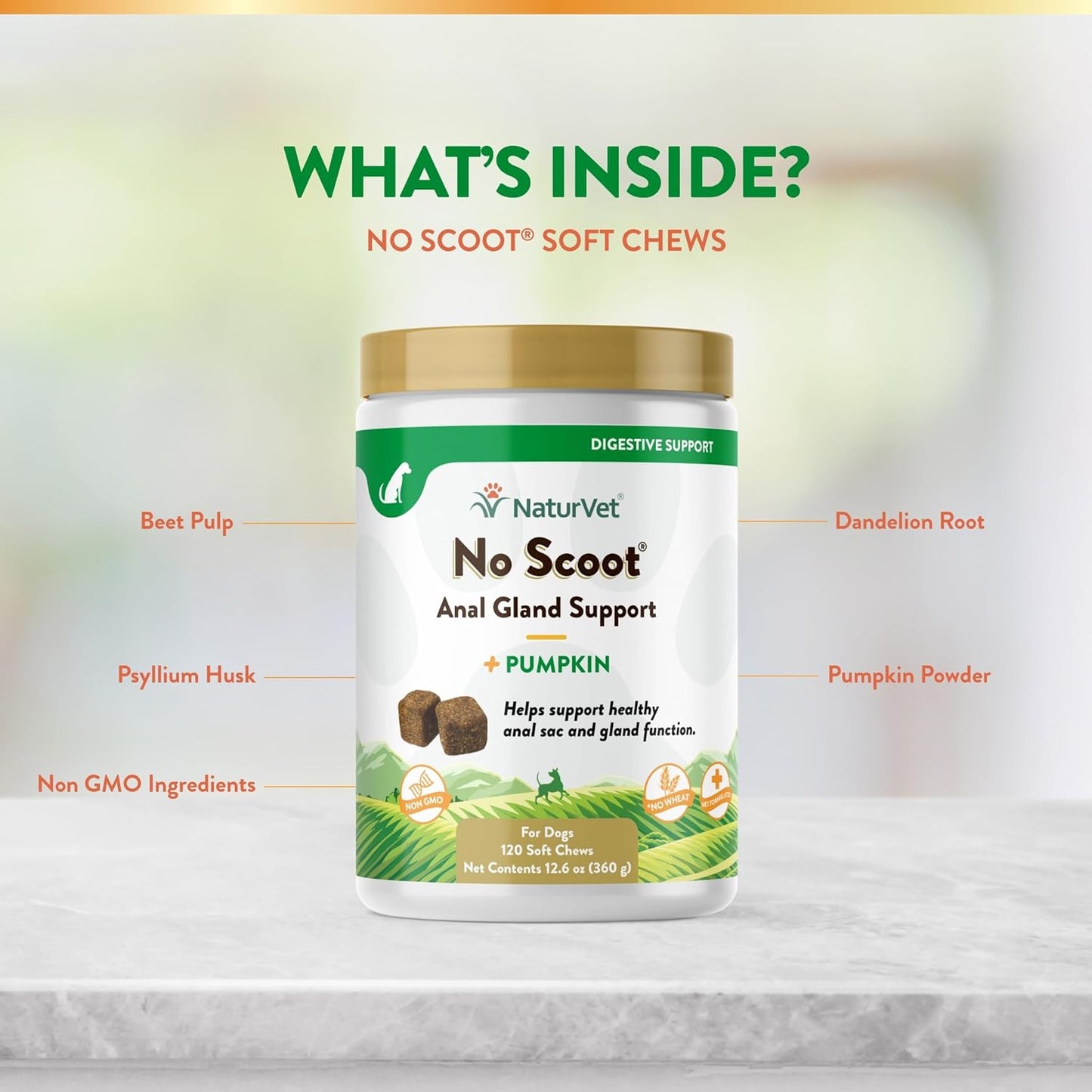 Naturvet Scoopables No Scoot for Dog Bite - Anal Gland Support for Dogs - Supports Normal Bowel Function - Chewable Stool & Bowel Health Pet Supplement - Pumpkin, Psyllium Husk, & Beet Pulp | 11Oz Bag