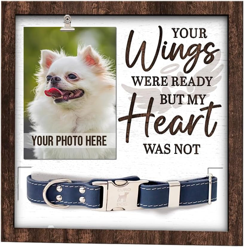 Pawfect House Pet Memorial Picture Frame, Gifts for Losing a Pet, Dog Memorial Gifts for Loss of Dog, Pet Loss Gifts with Collar Frame, 9X9 Inches, Lightweight, Sympathy Gifts for Dog Lovers