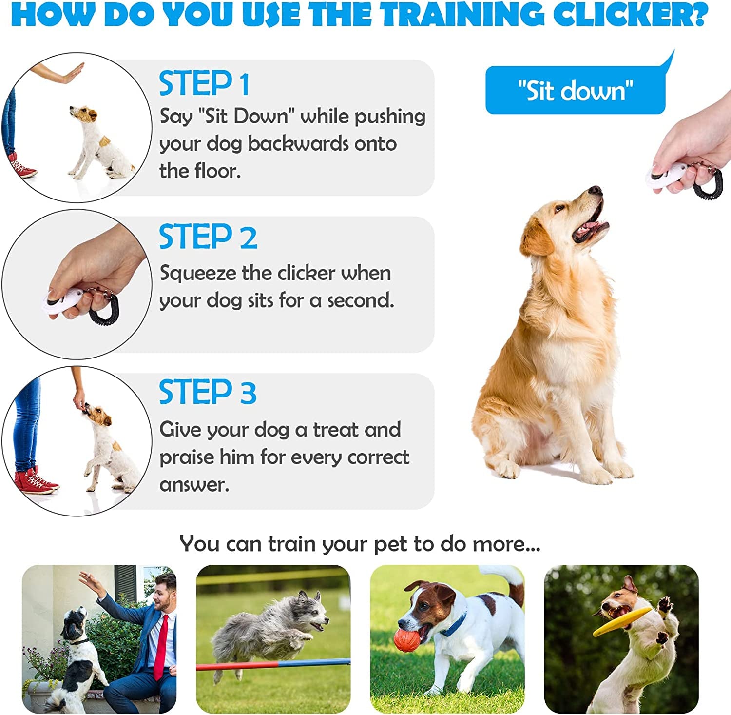 Dog Training Clicker with Wrist Strap Durable Lightweight Easy to Use, Pet Training Clicker for Cats Puppy Birds Horses. Perfect for Behavioral Training 2-Pack (Black and Water Lake Blue)