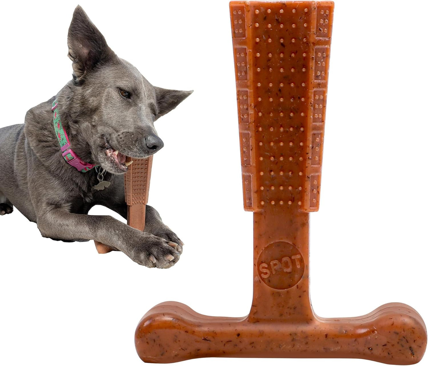 SPOT Bam-Bones plus T Bone - Bamboo Fiber & Nylon, Durable Long Lasting Dog Chew for Aggressive Chewers – Great Toy for Adult Dogs & Teething Puppies under 30Lbs, Non-Splintering, 4In, Beef Flavor