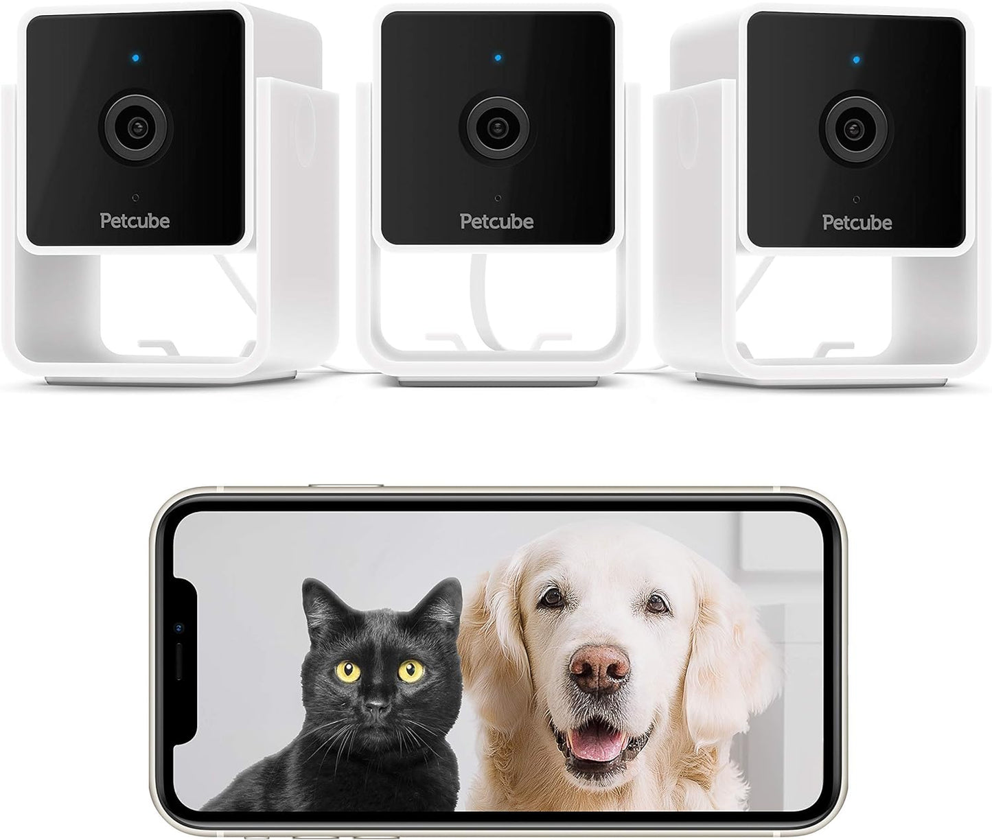 Petcube Cam the Pack of 3 | Indoor Wi-Fi Pet and Security Camera with Phone App, Pet Monitor with 2-Way Audio and Video, Night Vision, 1080P HD Video and Smart Alerts for Ultimate Home Security