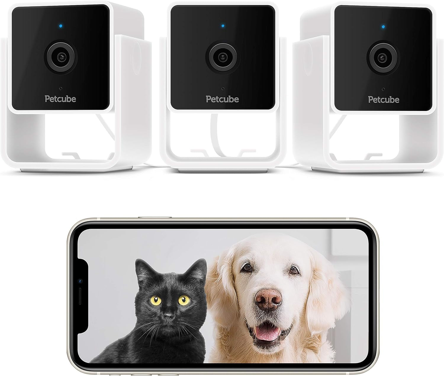 Petcube Cam the Pack of 3 | Indoor Wi-Fi Pet and Security Camera with Phone App, Pet Monitor with 2-Way Audio and Video, Night Vision, 1080P HD Video and Smart Alerts for Ultimate Home Security