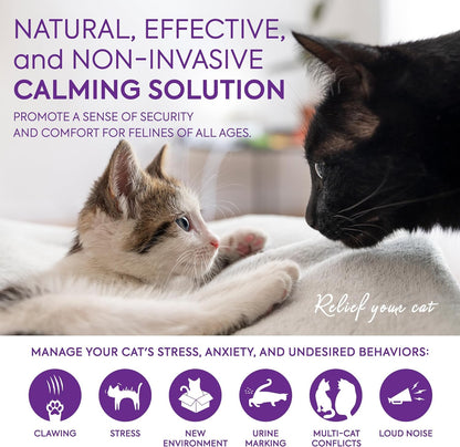 Cat Calming Diffuser Refills: 4 Pack Cat Pheromones Calming Diffuser Refill - Premium Cat Calming Diffuser Refill - Cat Pheromones for 4-Month Use, Cat Anxiety Relief, 4 Pack (Light Purple)