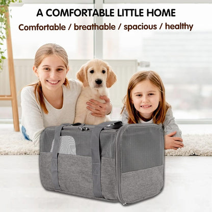 Carriers Soft-Sided Pet Carrier Case for Small Medium Cats Dogs Puppy under 15 Lbs,Airline Approved Cat Carrier with 4 Ventilated Windows (Medium,Grey&Black)