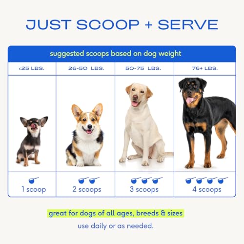 Native Pet The Daily Dog Vitamins & Supplements - 11-in-1 Multivitamin Powder for Dogs - Supports Whole Body Health, Digestion, Mobility & Immunity with Collagen, Glucosamine & Probiotics –120 Scoops