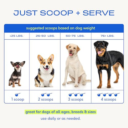 Native Pet The Daily Dog Vitamins & Supplements - 11-in-1 Multivitamin Powder for Dogs - Supports Whole Body Health, Digestion, Mobility & Immunity with Collagen, Glucosamine & Probiotics –120 Scoops