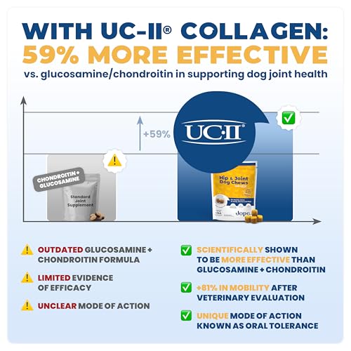 Jope Hip & Joint Supplement for Dogs Large, Medium, Small - Joint Chews w/UC-II® Collagen - Proven Better Than Glucosamine Chondroitin in Canine Health - Veterinarian Formulated, Omega 3 & Curcumin